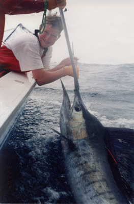 11.oo am 22.3.03, Est. 75 Kg Striped Marlin on a “Evil” “Little Donger” lure. Boat - Reel Quick.