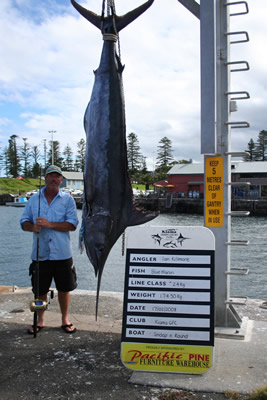 ANGLER: Ian Killmore SPECIES: Blue Marlin WEIGHT: 174.50 Kg TACKLE: 24 Kg
