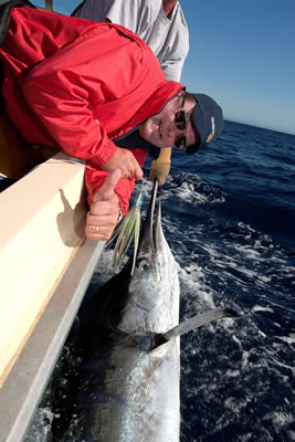 ANGLER: Craig Rushby SPECIES: Striped Marlin WEIGHT: est. 85 Kg