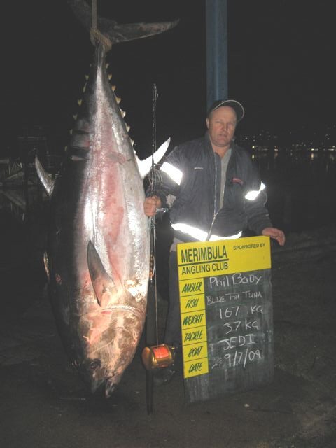 ANGLER: Phil (Mugsy) Body SPECIES: Southern Bluefin Tuna WEIGHT: 167 Kg TACKLE: 37 Kg LURE: J.B. Dingo