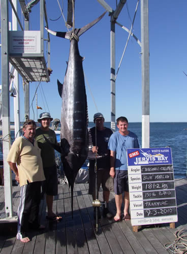 ANGLER: C.Dobson & S.Cromie  SPECIES: Blue Marlin WEIGHT: 181.2 Kg LURE: J.B. Evil Dingo