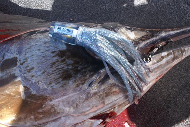 ANGLER: Cliff Cole  SPECIES: Striped Marlin WEIGHT: 80 Kg LURE: J.B. Soury Little Dingo