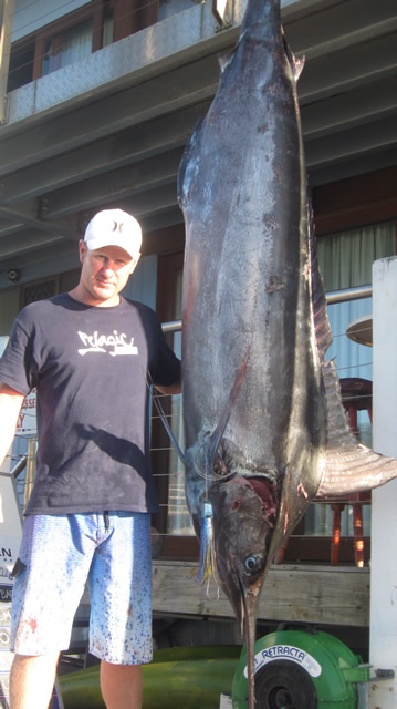 ANGLER: Christian Barton  SPECIES: Blue Marlin  WEIGHT: 126.0 Kg LURE: J.B. Evil Dingo