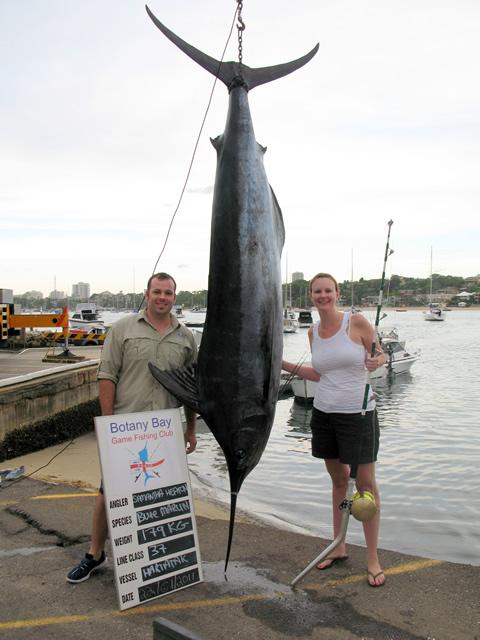 ANGLER: Samantha Heaton  SPECIES: Blue Marlin  WEIGHT: 179.0 Kg LURE: J.B. Stripey Ripper
