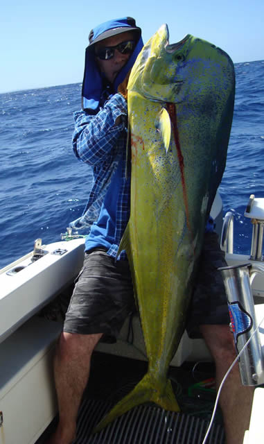 ANGLER: Fred Romeo  SPECIES: Mahi Mahi   WEIGHT: 19.5 Kg LURE: JB Lures, Evil Dingo