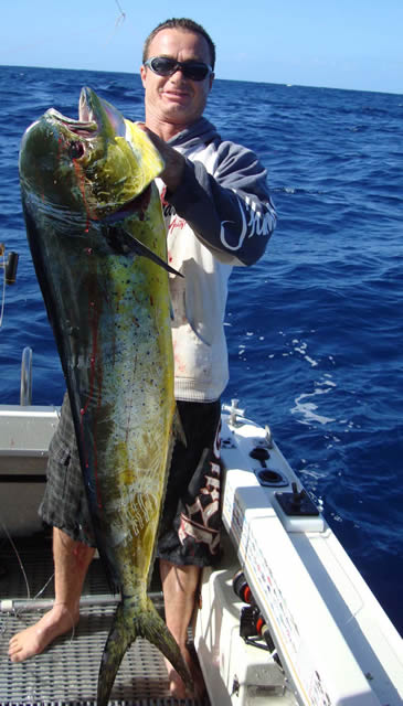 ANGLER: Mike Hatch  SPECIES: Mahi Mahi   WEIGHT: 15.4 Kg LURE: JB Lures, Little Dingo Lumo