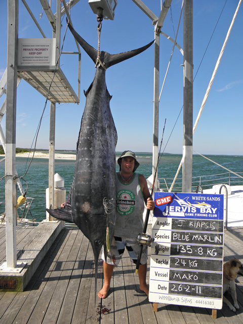 ANGLER: John Klapsis  SPECIES: Blue Marlin  WEIGHT: 135.8 Kg LURE: JB Lures, Dingo