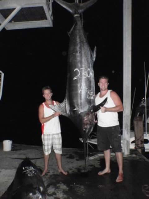 ANGLER: Frankie  SPECIES: Blue Marlin  WEIGHT: 230.7 Kg LURE: JB Lures, 12" Evil Dingo