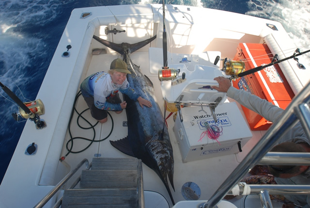 ANGLER: Tommy Wood  SPECIES: Blue Marlin  WEIGHT: 115 Kg LURE: JB Lures, Chopper