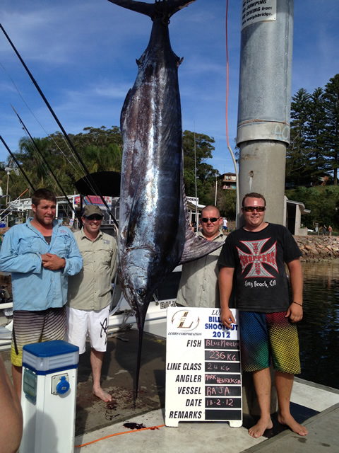 ANGLER: Mark Henrickson  SPECIES: Blue Marlin  WEIGHT: 236 Kg LURE: JB Lures, 10inch Donger