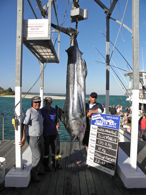 ANGLER: Maria Carnevale  SPECIES: Blue Marlin  WEIGHT: 180.2 Kg