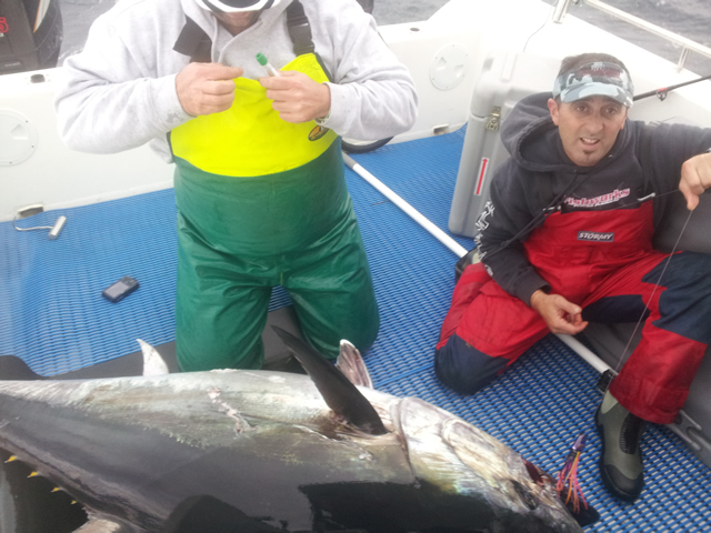 Darren Buttigieg's Est. 110Kg Southern Bluefin Tuna