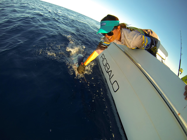 Unnalise Wescombe Est. 60+ Kg. Black Marlin with JB Lures Pluto