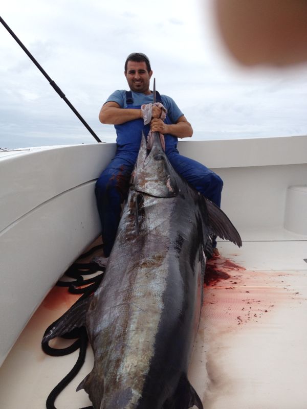 ANGLER: Tarik Fevzi SPECIES: Blue Marlin  WEIGHT: 200 Kg. LURE: 10″ Evil Dingo