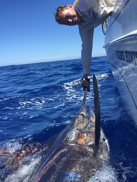 ANGLER: Tristan Franck SPECIES: Blue Marlin
WEIGHT: Est. 180kgs LURE: JB Lures, 13" Chook.
