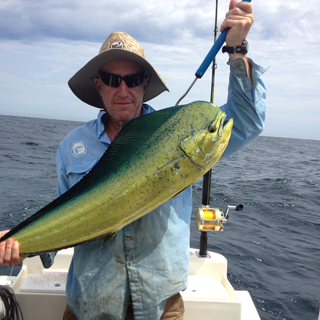 ANGLER: Neville Griffin SPECIES: Mahi Mahi
WEIGHT: 7kgs LURE: JB Lures, 11" Pluto.