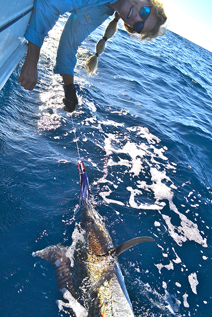 ANGLER: Jo-Ann Riley SPECIES: Black Marlin
WEIGHT: Est. 30kgs LURE: JB Lures, 11" Medium Chopper.