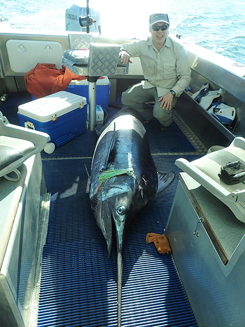 ANGLER: Mark Nan Tie SPECIES: Blue Marlin
WEIGHT: 153kg LURE: 10" JB Lures Dingo.
