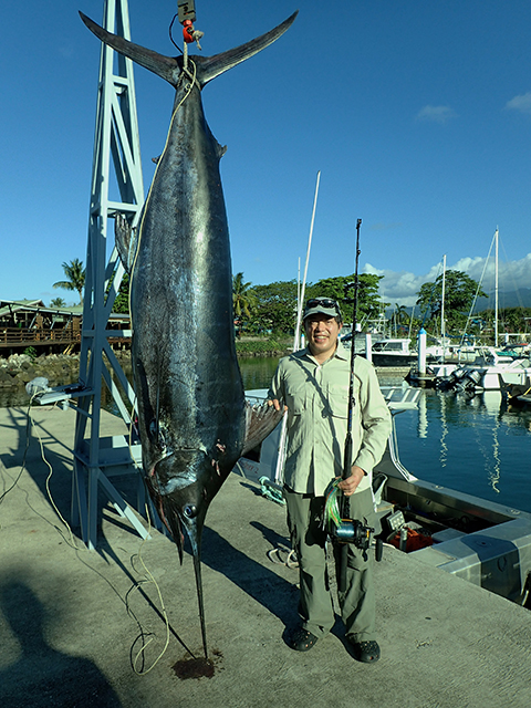 ANGLER: Mark Nan Tie SPECIES: Blue Marlin
WEIGHT: 153kg LURE: 10" JB Lures Dingo.