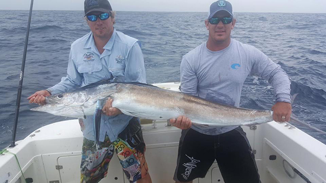 ANGLER: Benny Beck SPECIES: Short Billed Spearfish WEIGHT: 32.6kg LURE: JB Big Donger.