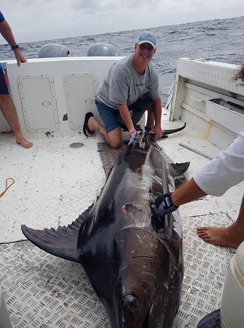 ANGLER: Mick Roberts  SPECIES: Blue Marlin WEIGHT: 190kg LURE: 9.5" JB Little Jindivick.