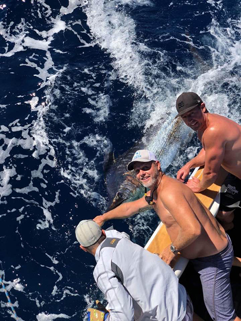 ANGLER: Tim Mazaraki  SPECIES: Blue Marlin WEIGHT: Est. 180kg LURE: 12.5" JB Chook.