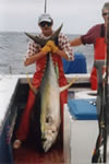 Dave Venn aboard Reel Quick captured a 46.4 Kg Yellowfin on a Lumo Little Dingo lure. (21kb)