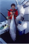 Dan Solberg on Far Out caught a 64 Kg Yellowfin Tuna with a “Stripy” “Little Ripper” lure. (15kb)