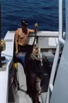 Aboard vessel Pelagic, Mark Webber and his 96 Kg Striped Marlin . Used a “Little Ripper” Lure. (18kb)