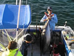 ANGLER: Dave Venn SPECIES: Yellowfin Tuna WEIGHT: 70.00 Kg.