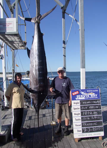 ANGLER: C.Dobson & S.Cromie  SPECIES: Blue Marlin WEIGHT: 181.2 Kg LURE: J.B. Dingo