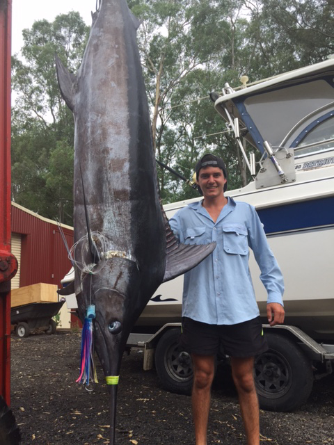 ANGLER: Josh Vella SPECIES: Blue Marlin WEIGHT: 128.1kg LURE: 15" JB Lures 2 Jakes (designed by Matt Xiberras)