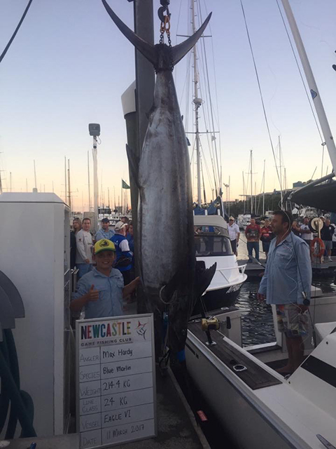 ANGLER: Max Hardy  SPECIES: Blue Marlin WEIGHT:  214kg LURE: JB Lures Big Dingo.