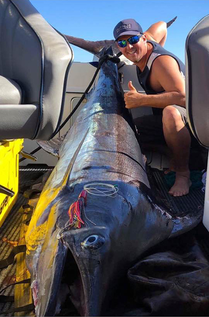 ANGLER: Marty Allen  SPECIES: Blue Marlin WEIGHT: 141.5kg LURE: 8" JB Little Dingo.